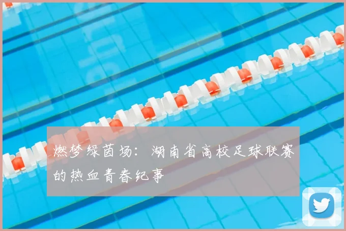 燃梦绿茵场:湖南省高校足球联赛的热血青春纪事