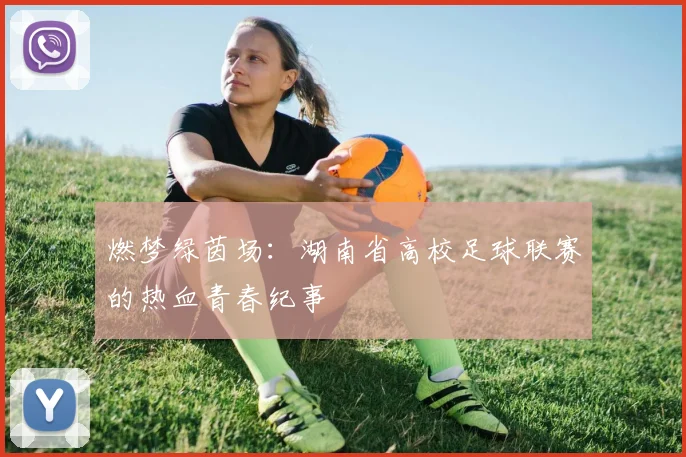 燃梦绿茵场：湖南省高校足球联赛的热血青春纪事